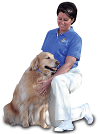 dog_dealer